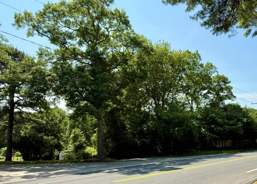 0 Sandwich Road, Teaticket, MA 02536 - #2