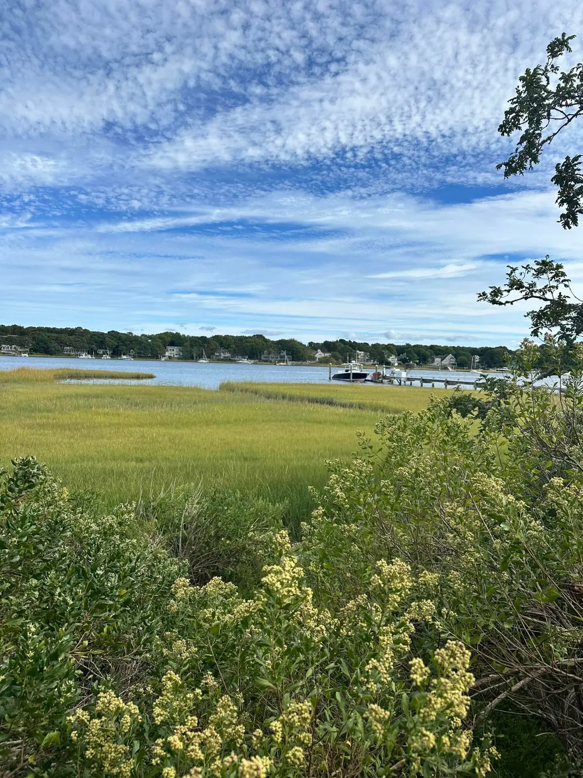262 Monomoscoy Road, Mashpee, MA 02649 - #1