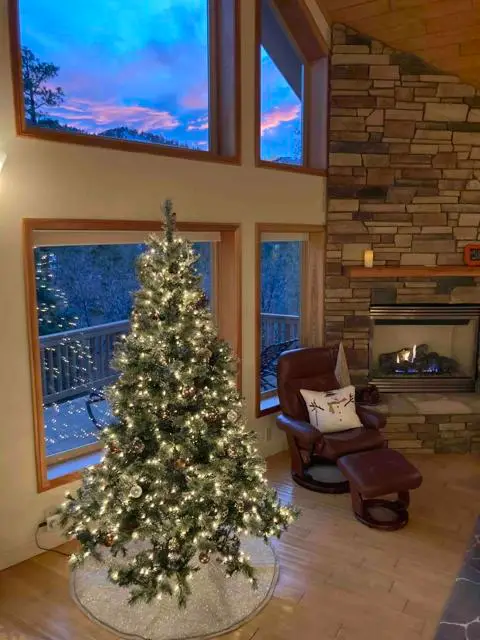 1432 Rockspray Drive, Big Bear Lake, CA 92315 - #3