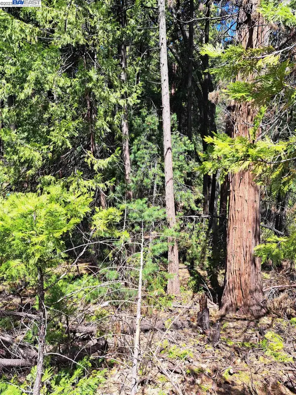 Address Withheld By Seller, POLLOCK PINES, CA 95726
