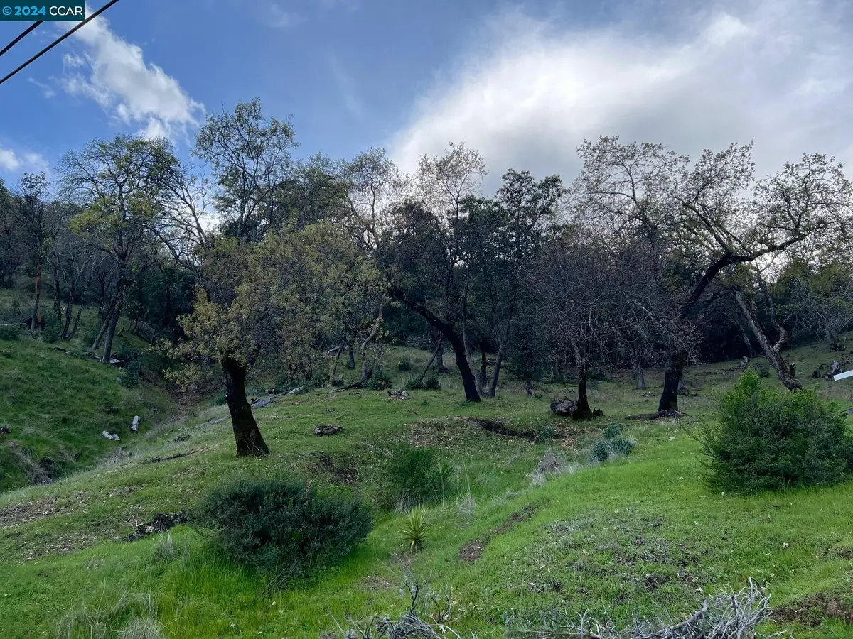 228 Country Club Lane, Napa, CA 94558 - #1