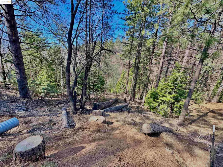 23956 Stable Rd, Sonora, CA 95370 - #2