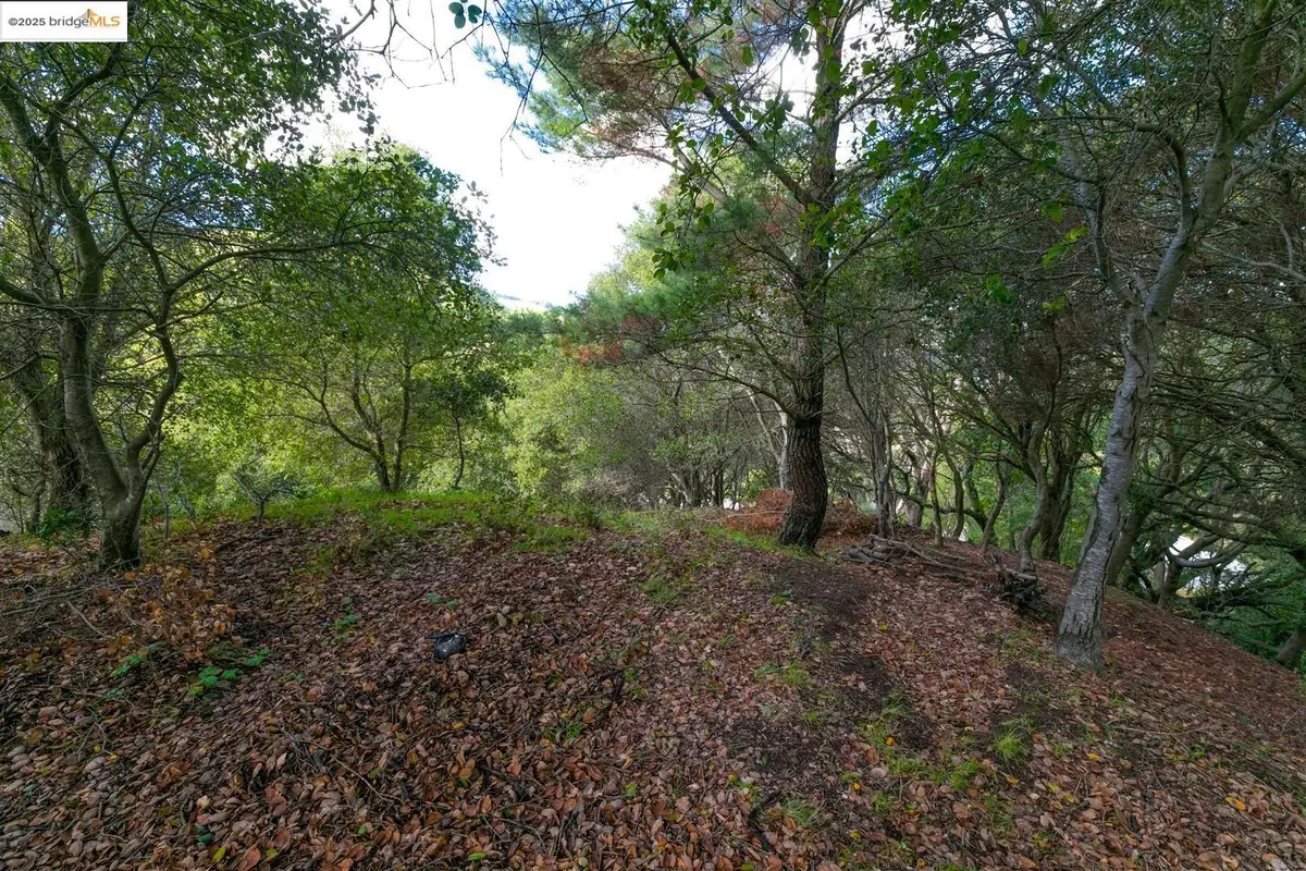 26 Lucille Way, Orinda, CA 94563 - #1