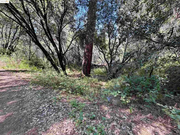 21893 Sawmill Flat RD, SONORA, CA 95370