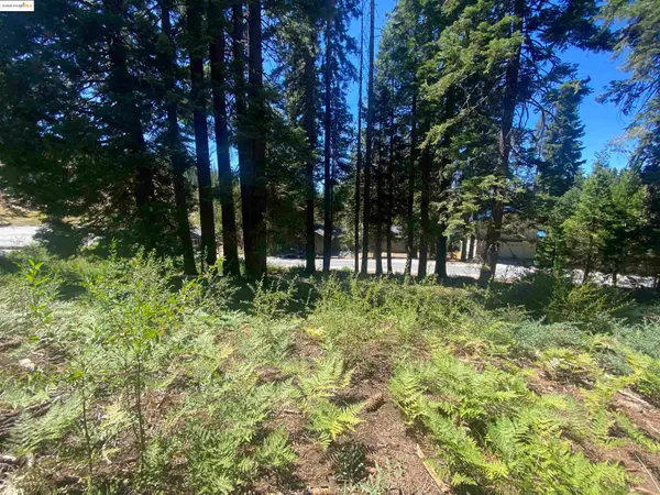 33994 Leland Meadow Rd, PINECREST, CA 95364