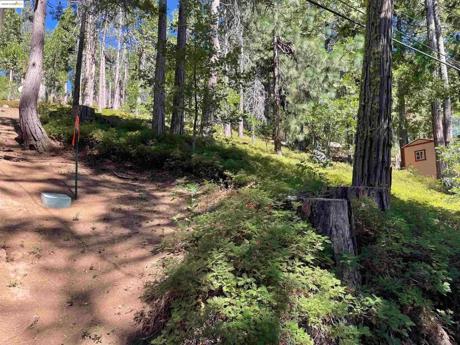 25476 Rebekah Rd, Long Barn, CA 95335 - #3