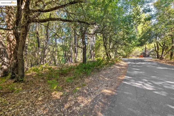 23744 Mount Elizabeth Rd, TWAIN HARTE, CA 95383