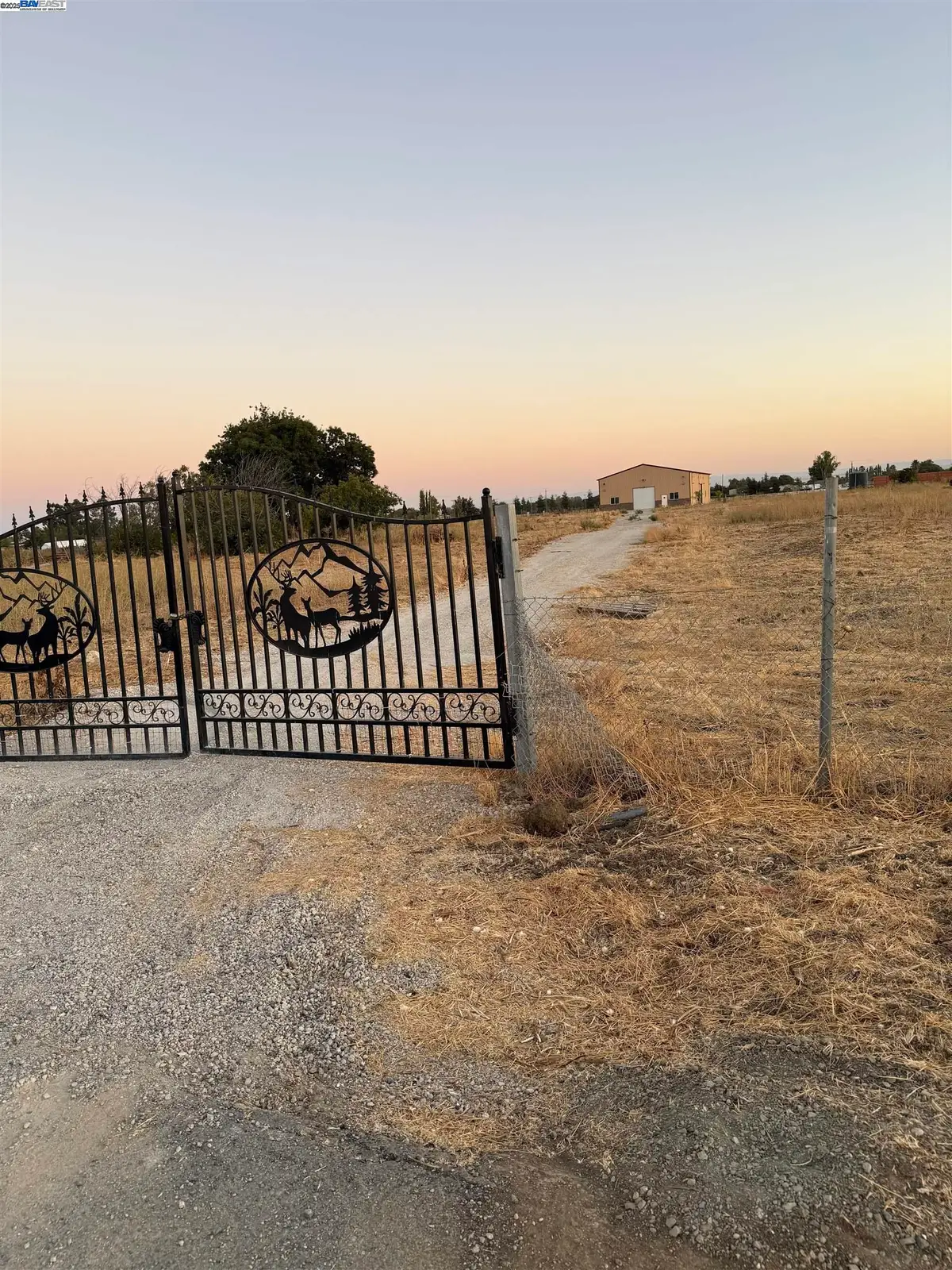 303 Blaine Lane, Knightsen, CA 94548 - #1