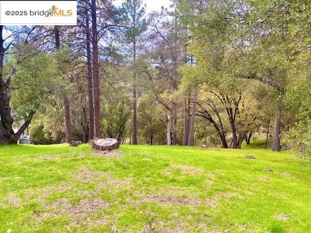 19703 Cottonwood St, Groveland, CA 95321 - #3