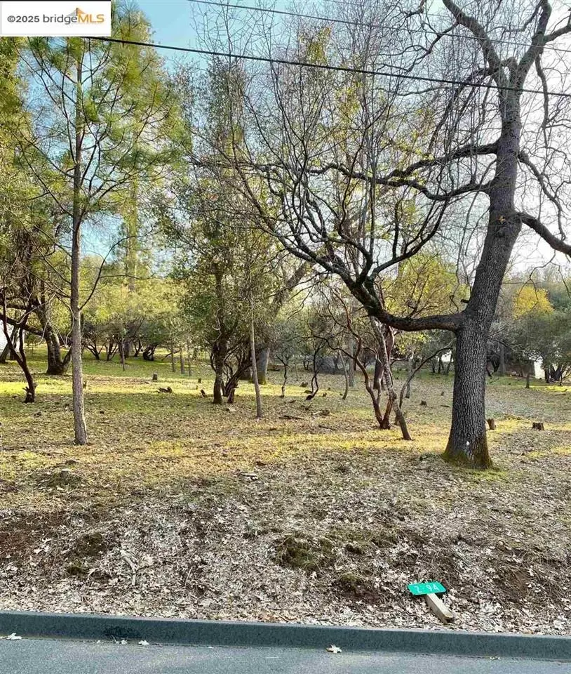 13177 Jackson Mill Drive, Groveland, CA 95321 - #2