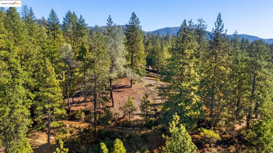 11210 Forest Park Rd, Columbia, CA 95310 - #2