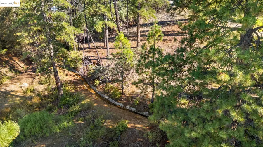 11210 Forest Park Rd, Columbia, CA 95310 - #3