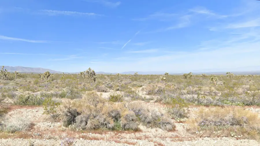 Vic Avenue X8 Largo Vis, Llano, CA 93544 - #2
