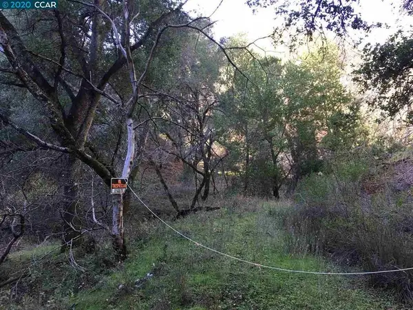 Lark Ln, ALAMO, CA 94507