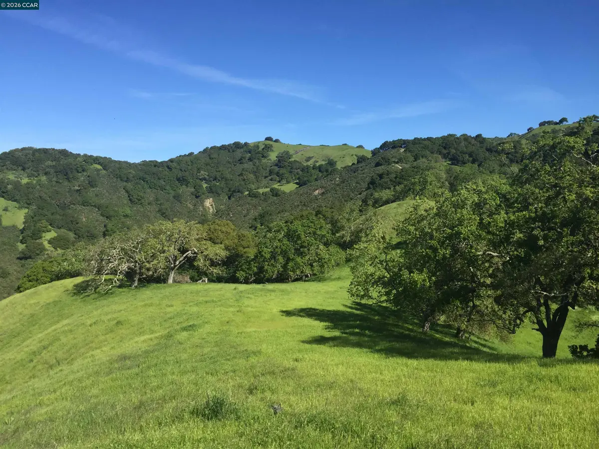 1240 Monticello Rd., Lafayette, CA 94549 - #1