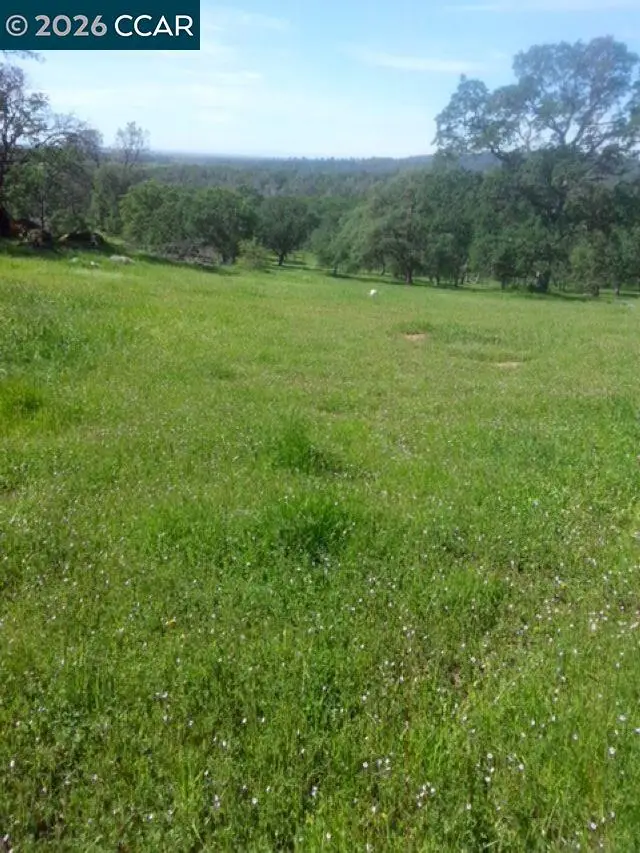 56 Deer Hollow Trail, Browns Valley, CA 95918 - #2