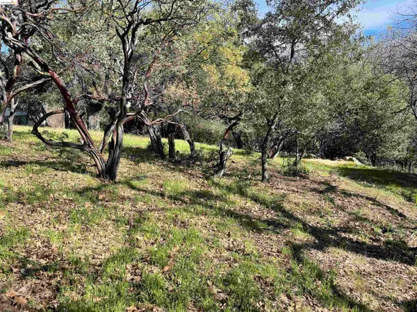 16505 Creekside Dr, SONORA, CA 95370