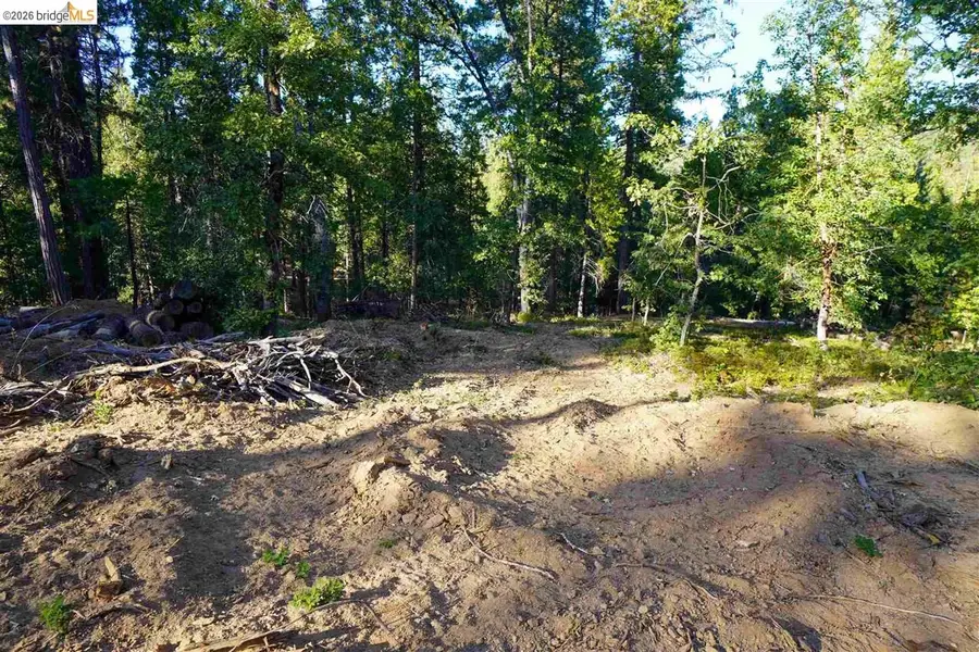 169 Canyon View, Hathaway Pines, CA 95233 - #2