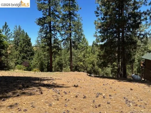 19364 Ferretti Rd, Groveland, CA 95321 - #1