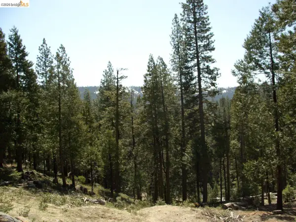 29733 Kerns Drive Lot 441, , CA 95335