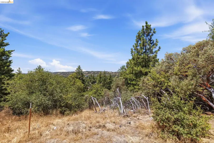 Deerhaven, Tuolumne, CA 95379 - #3