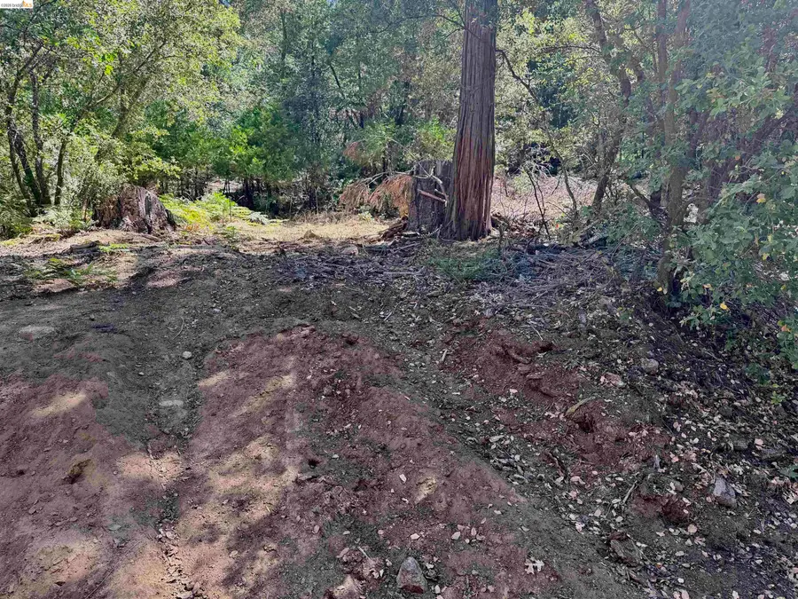 23265 Quail Dr, Twain Harte, CA 95383 - #2