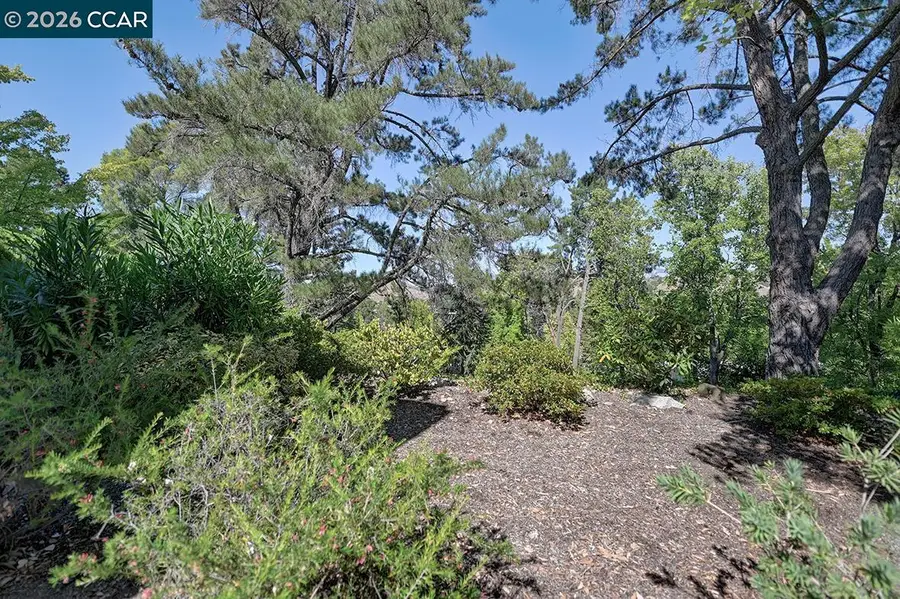 1332 Running Springs Rd  #8, Walnut Creek, CA 94595 - #3