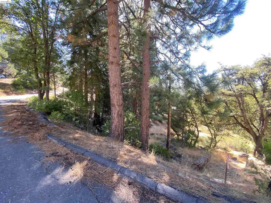 280 No Address - Vacant Lot, Long Barn, CA 95335 - #3