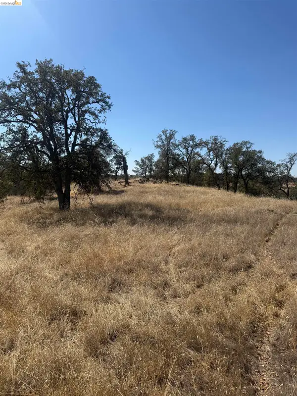 2088 Navarro, Don Pedro, CA 95329