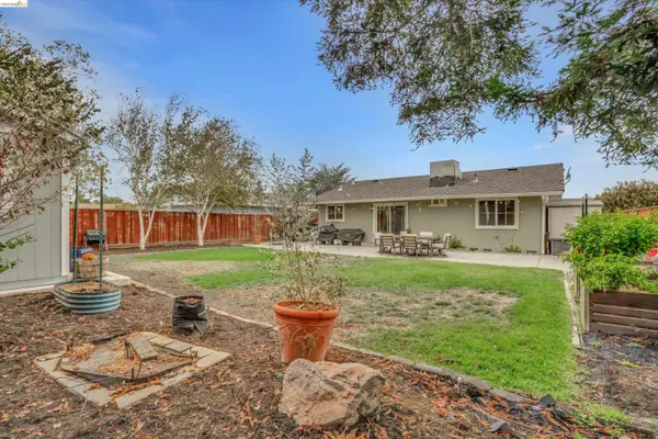 1131 Hollyhock St, , CA 94551
