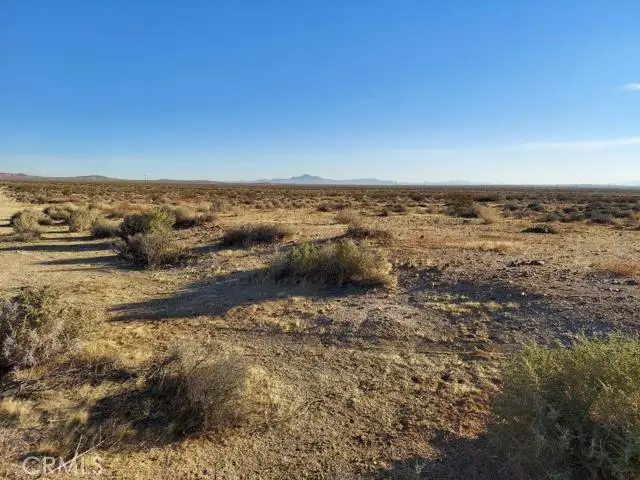 1 Rutledge Avenue, Boron, CA 93516 - #3