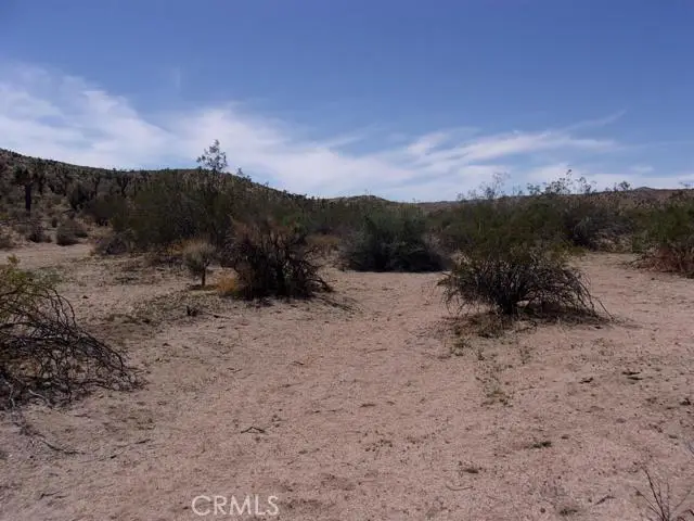0 Ocotillo Way, Apple Valley, CA 92308 - #3