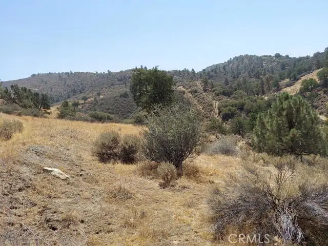 0 Fox Ridge Court, Mountain Center, CA 92561 - #3