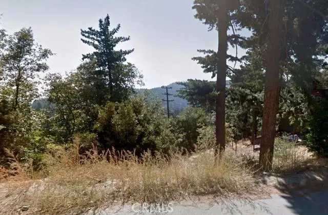 0 Pine, Twin Peaks, CA 92391 - #3