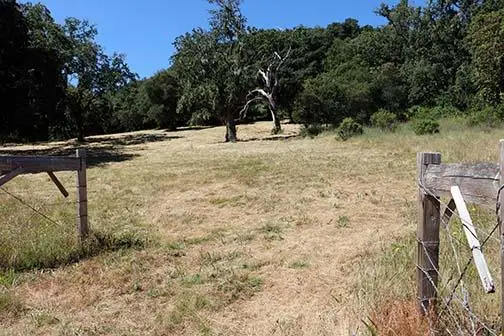 34221 Robinson Canyon Road, CARMEL, CA 93923