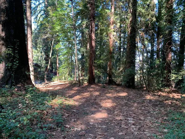 01 Santa Ana Road, LOS GATOS, CA 95033