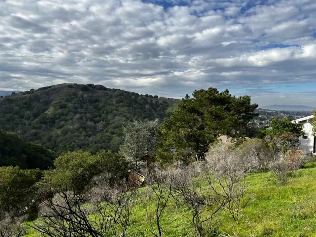 00 Alhambra Drive, Belmont, CA 94002 - #1