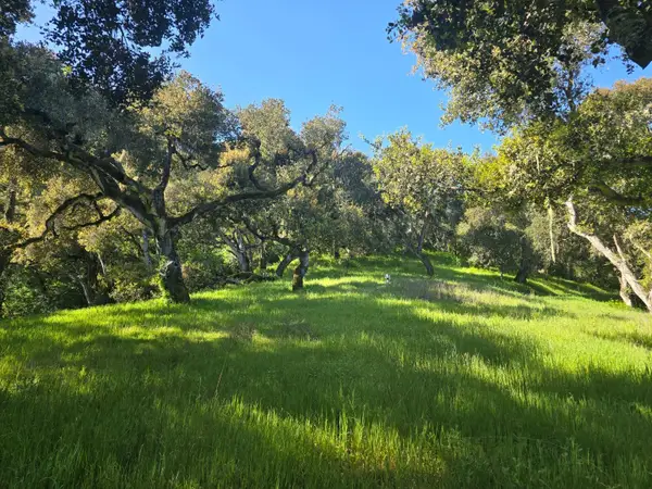 16 SLEEPY HOLLOW DRIVE, CARMEL VALLEY, CA 93924