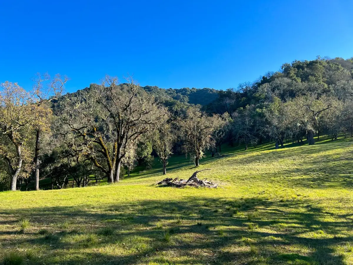 22 Arroyo Sequoia, Carmel, CA 93923 - #1