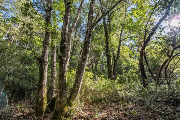 Lot 1 Desear, FELTON, CA 95018