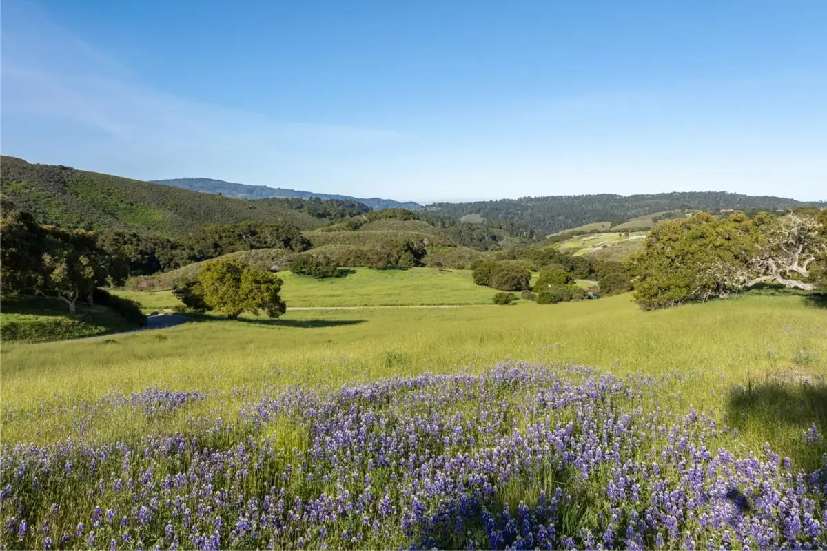 25825 Via Malpaso (Lot 68), Carmel, CA 93923 - #1