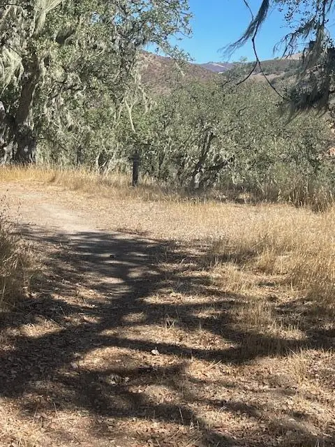0 Cachagua Road, CARMEL VALLEY, CA 93924