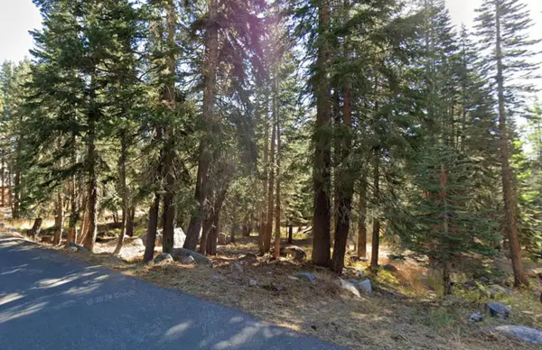 116 John Ebbetts Road, BEAR VALLEY, CA 95223