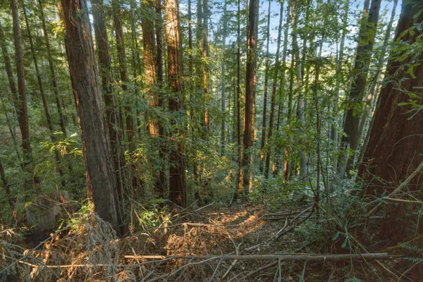 0 Country Club Drive, BEN LOMOND, CA 95005
