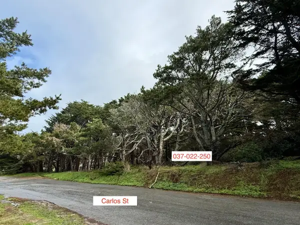 037022250 Carlos, MOSS BEACH, CA 94038