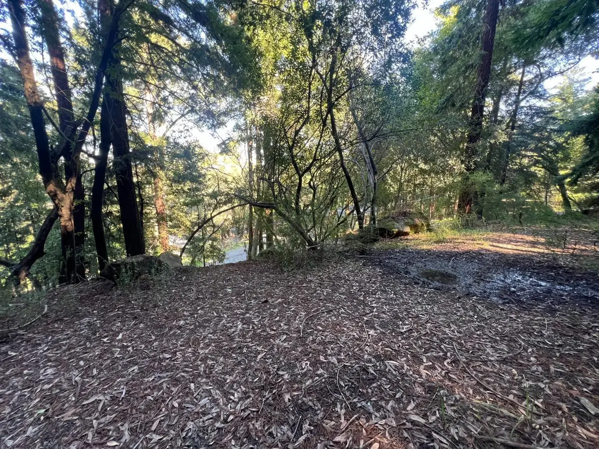 559 Patrol Road, Woodside, CA 94062 - #1