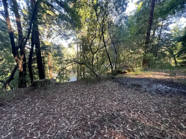 559 Patrol Road, WOODSIDE, CA 94062