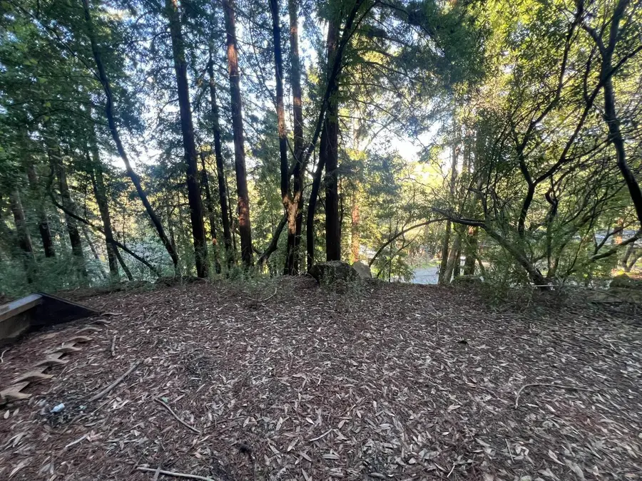 559 Patrol Road, Woodside, CA 94062 - #3