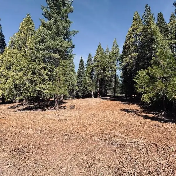 790 Red River Drive, LAKE ALMANOR, CA 96137
