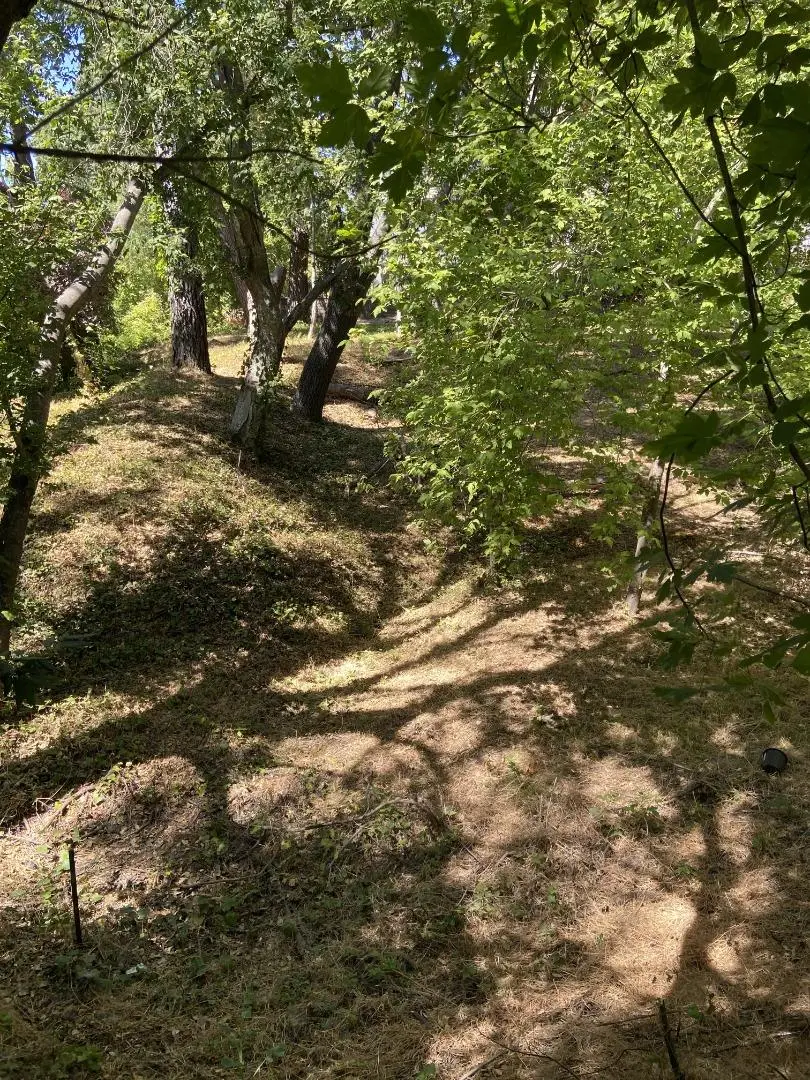 0 Vine Hill School Road, Scotts Valley, CA 95066 - #3